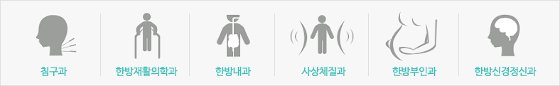 한방진료과목